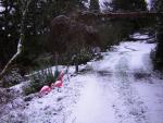 DSCN1056.jpg