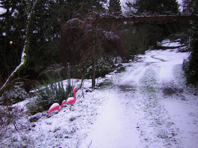 DSCN1056.jpg