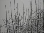 DSCN1060.jpg