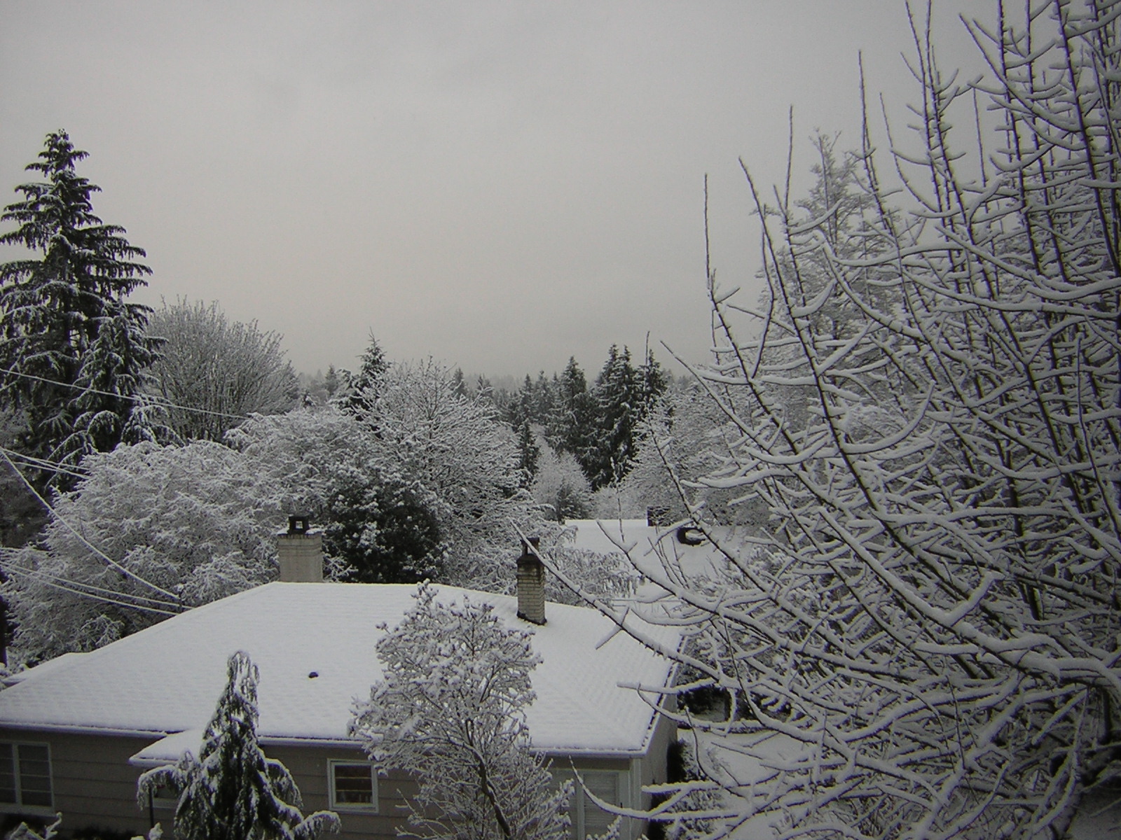 DSCN1061.jpg