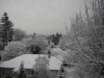 DSCN1061.jpg