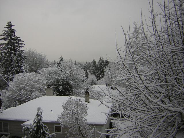 DSCN1061.jpg