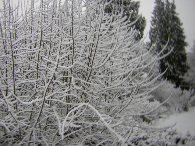 DSCN1062.jpg