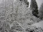 DSCN1063.jpg