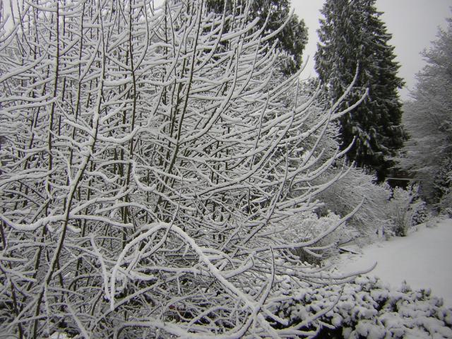 DSCN1063.jpg