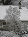 DSCN1064.jpg