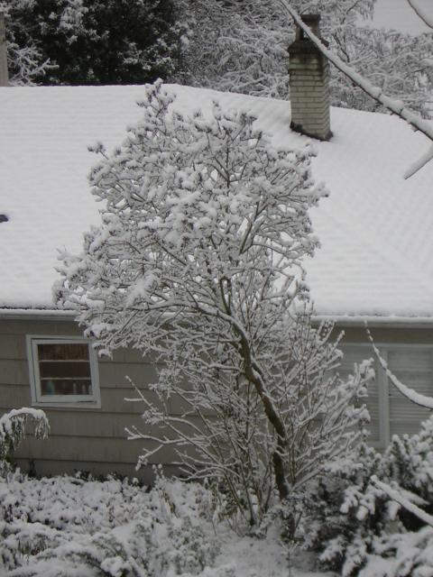 DSCN1064.jpg