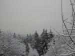 DSCN1065.jpg