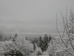 DSCN1066.jpg