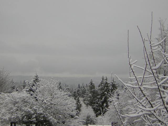 DSCN1066.jpg