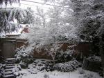 DSCN1067.jpg