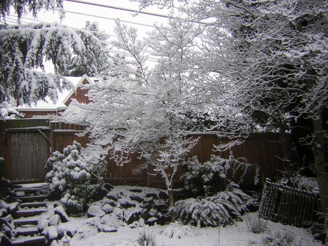 DSCN1067.jpg