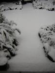 DSCN1068.jpg