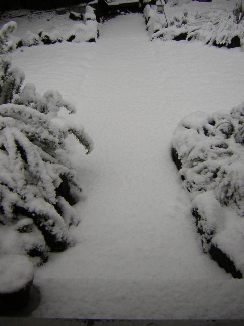 DSCN1068.jpg
