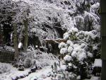 DSCN1069.jpg