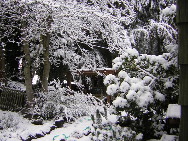 DSCN1069.jpg