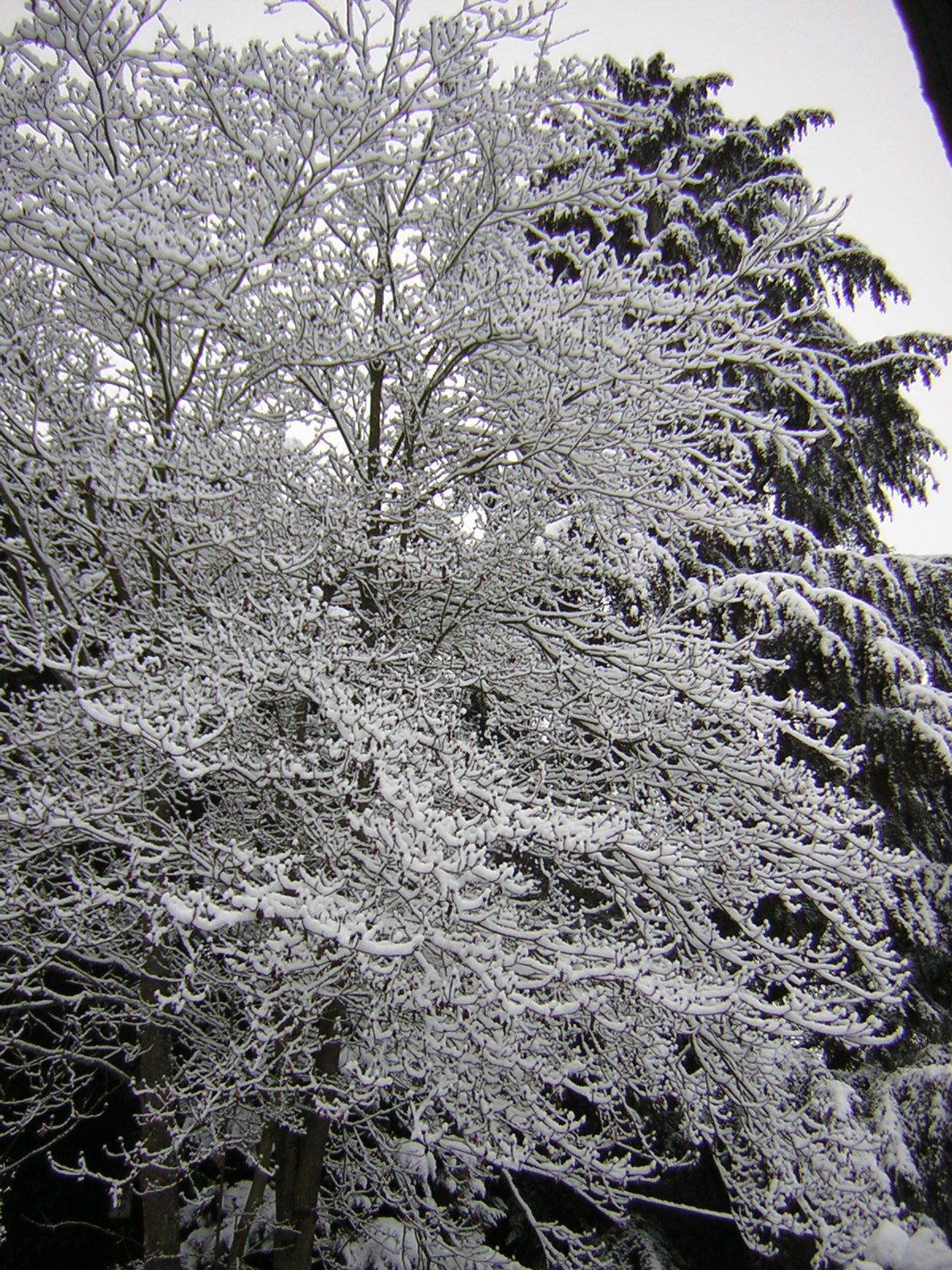 DSCN1070.jpg