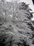 DSCN1070.jpg