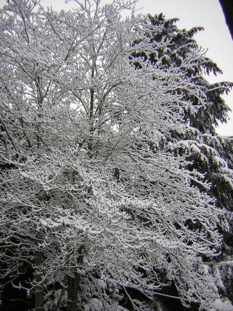 DSCN1070.jpg