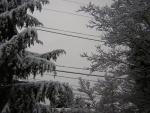 DSCN1071.jpg