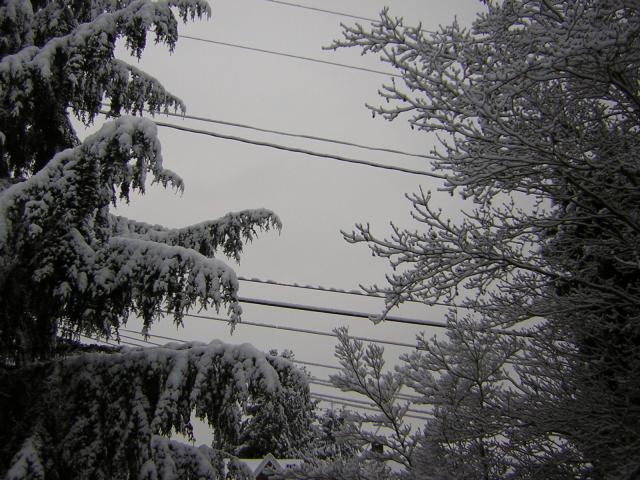 DSCN1071.jpg