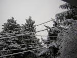 DSCN1072.jpg