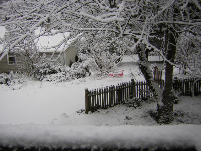 DSCN1073.jpg