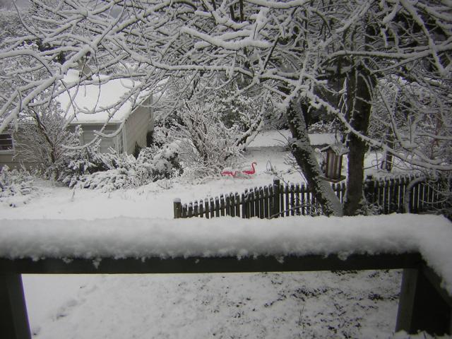 DSCN1074.jpg