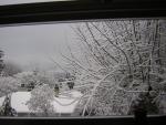 DSCN1075.jpg
