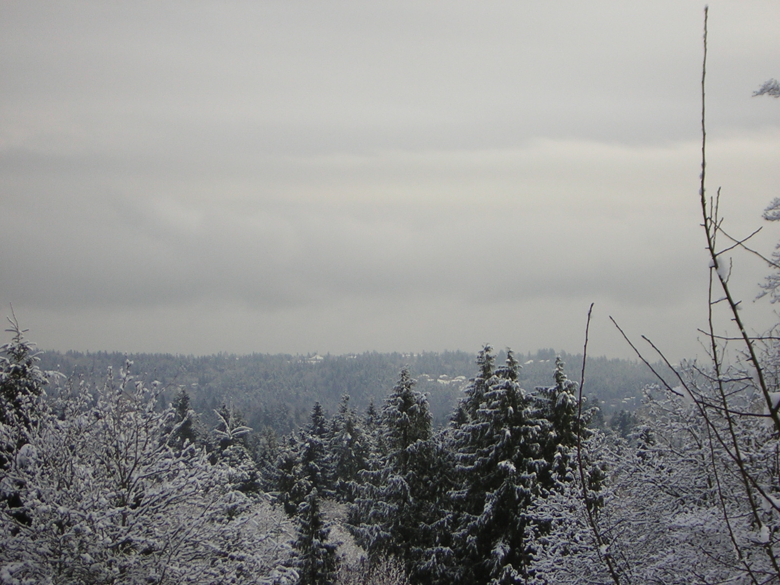 DSCN1076.jpg