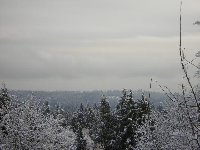 DSCN1076.jpg