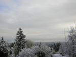 DSCN1077.jpg