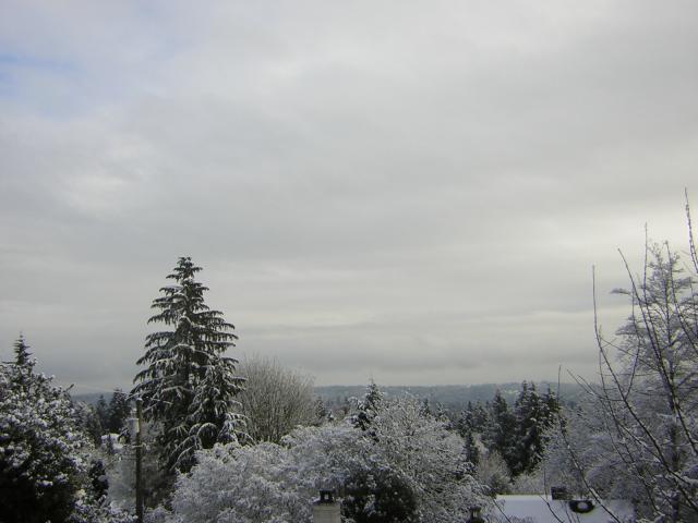 DSCN1077.jpg
