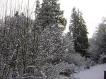 DSCN1078.jpg
