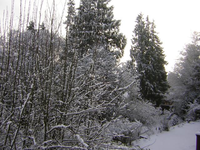 DSCN1078.jpg