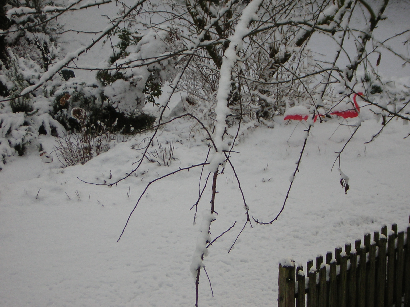 DSCN1079.jpg