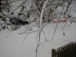 DSCN1079.jpg