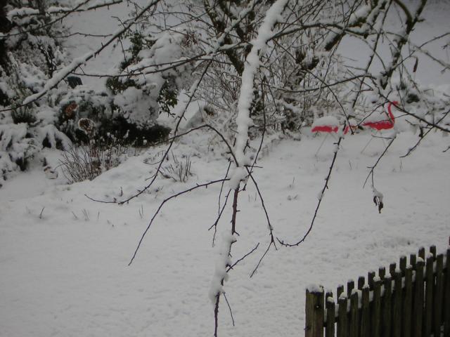 DSCN1079.jpg