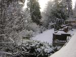 DSCN1080.jpg