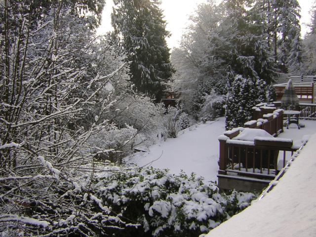 DSCN1080.jpg