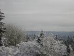 DSCN1081.jpg