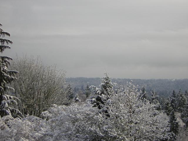 DSCN1081.jpg