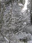 DSCN1082.jpg