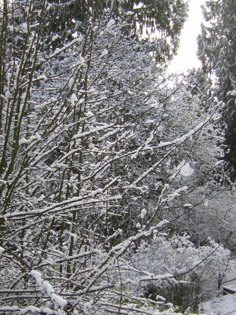DSCN1082.jpg