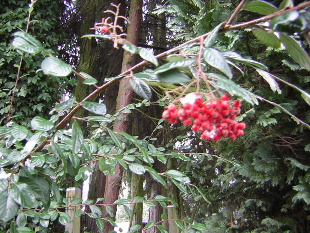 DSCN1083.jpg