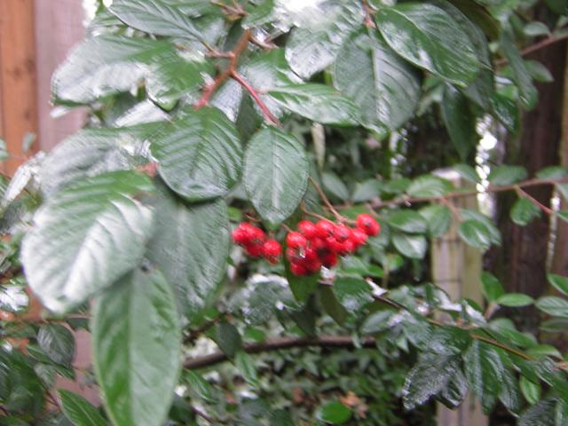 DSCN1084.jpg