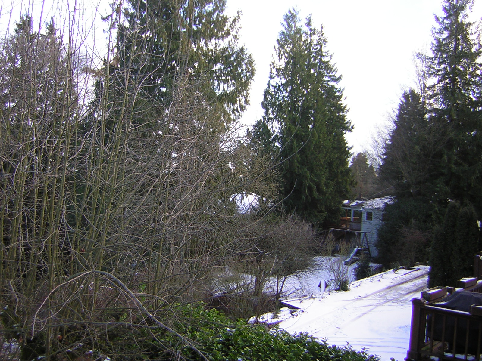 DSCN1087.jpg