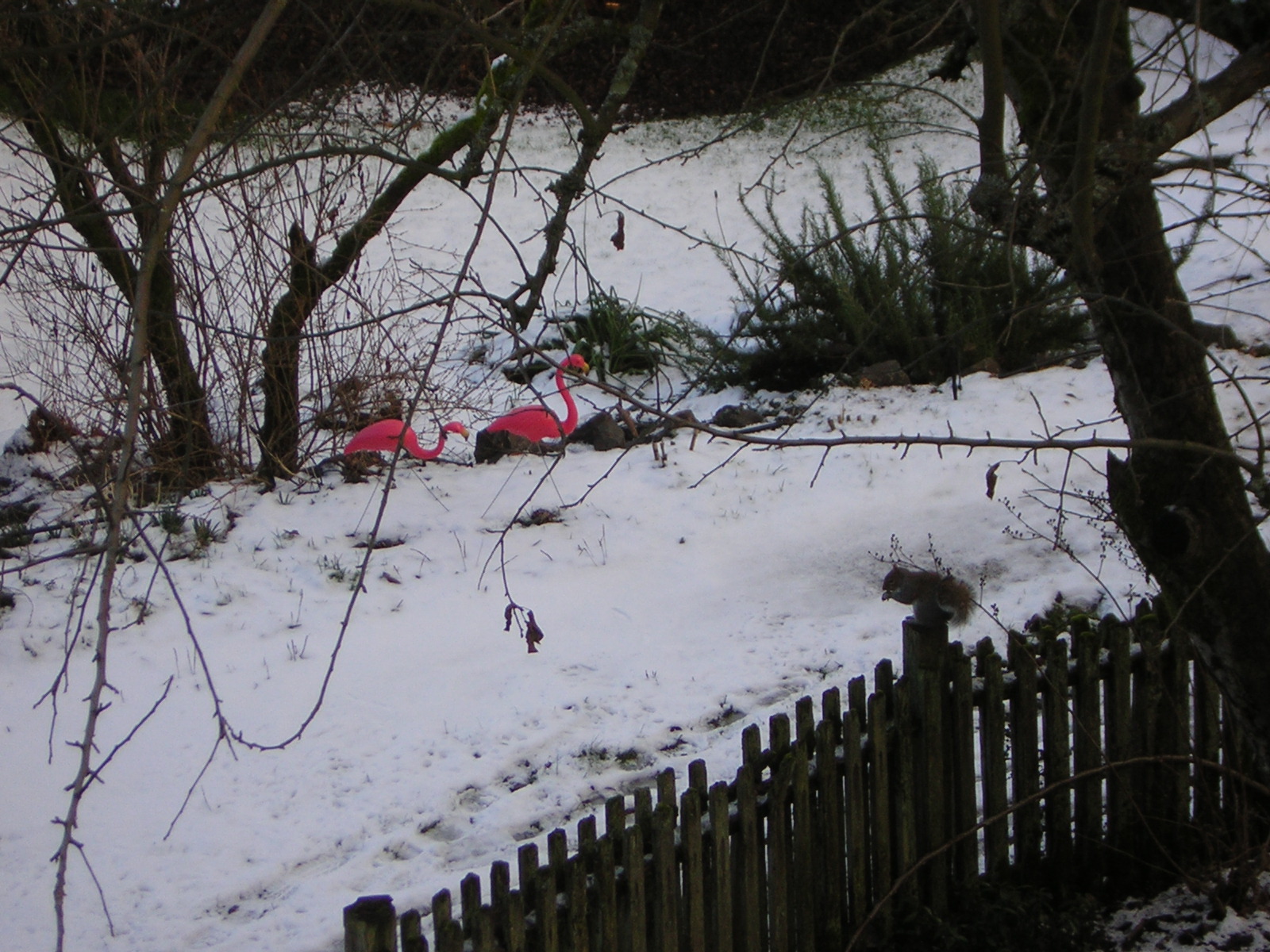 DSCN1089.jpg