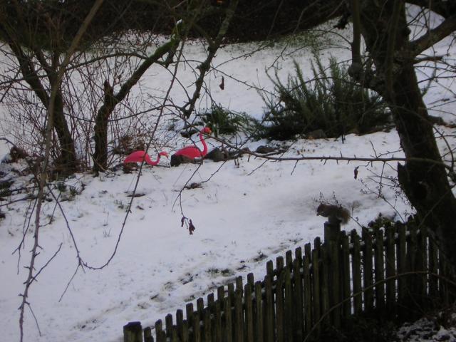 DSCN1089.jpg