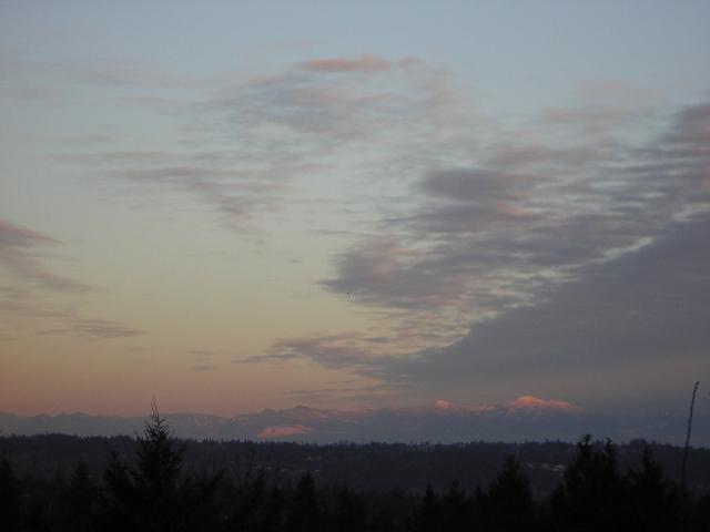 DSCN1093.jpg